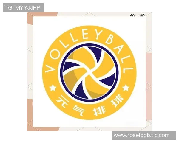 排球盛宴：深入解析杭州排球队的默契配合与战术魅力